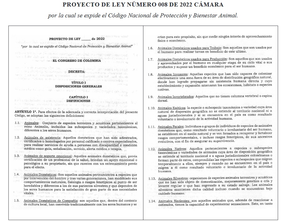 Gallinas libres de jaulas. Gallinas libres de jaulas.
