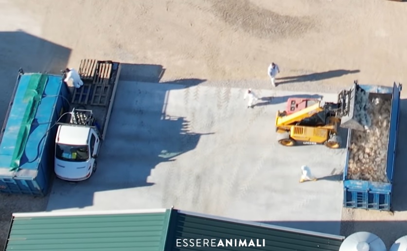 Galpones de una granja italiana. Galpones de una granja italiana