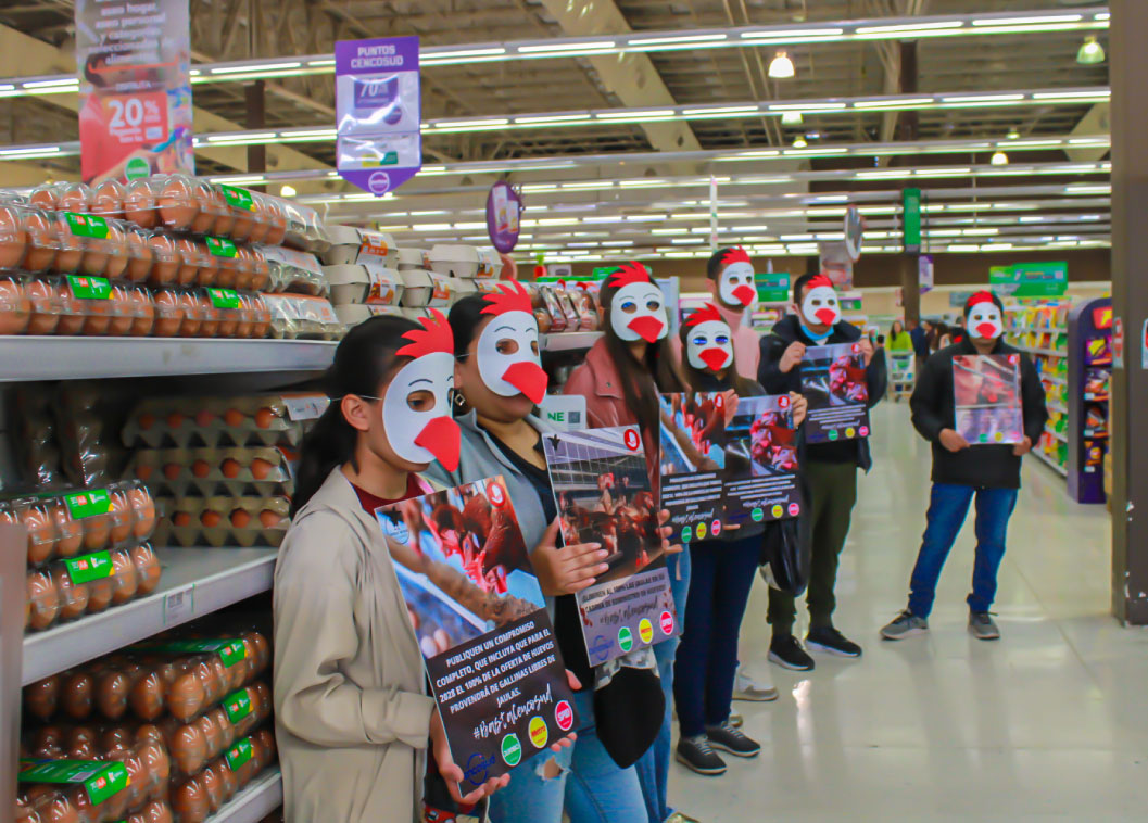 Activistas de la Plataforma ALTO en de Jumbo Activistas de la Plataforma ALTO en de Jumbo